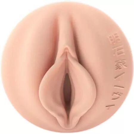 FLESHLIGHT FANTASY - EVIE AKASHIYA VAGIN