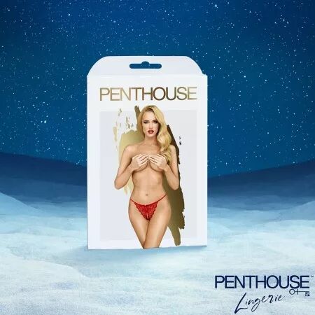 SATISFYER - CALENDRIER DE L'AVENT PREMIUM 2025