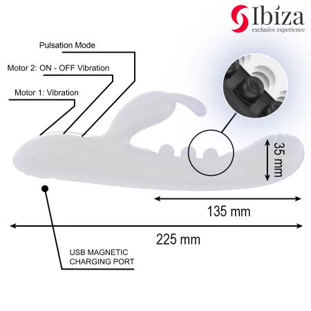 IBIZA - LAPIN VIBRANT &Agrave; PULSATION