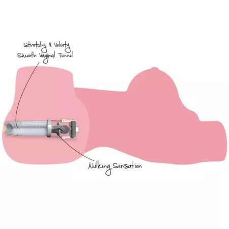 D&Eacute;SIR CACH&Eacute; - TORSE DE CHIENNE TR&Egrave;S EXCIT&Eacute;E, MASTURBATEUR F&Eacute;MININ 10 KG