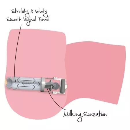 D&Eacute;SIR CACH&Eacute; - GROSSE SALOPE &Agrave; TRAIRE, MASTURBATEUR F&Eacute;MININ 16 KG