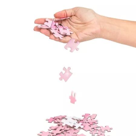 SECRET PLAY - JEU DE CASSE-T&Ecirc;TE  SEXXXZZLE 