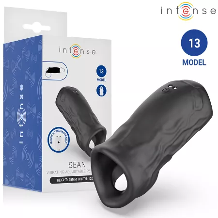 INTENSE - SEAN ANNEAU P&Eacute;NIS VIBRANT ET R&Eacute;GLABLE MOD&Egrave;LE 13