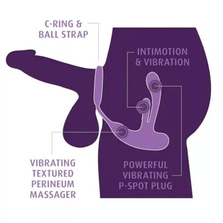 ANAL FANTASY ELITE - STIMULATEUR ANAL ET P&Eacute;RIN&Eacute;AL RECHARGEABLE ASS-GASM INTIMOTION