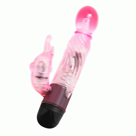 BAILE - VOUS OFFRIR UNE SORTE DE VIBRATEUR AMANT AVEC RABBIT ROSE 10 MODES