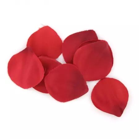 EXTASE SENSUAL - COFFRE TENTATION ROUGE
