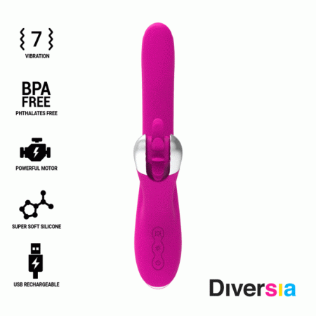 DIVERSIA - ROTATION LAPIN 24 CM