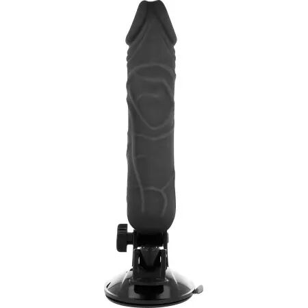 BASECOCK - VIBRATEUR RÉALISTE TÉLÉCOMMANDE NOIR 20 CM