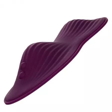 CALIFORNIA EXOTICS - TÉLÉCOMMANDE DUAL RIDER