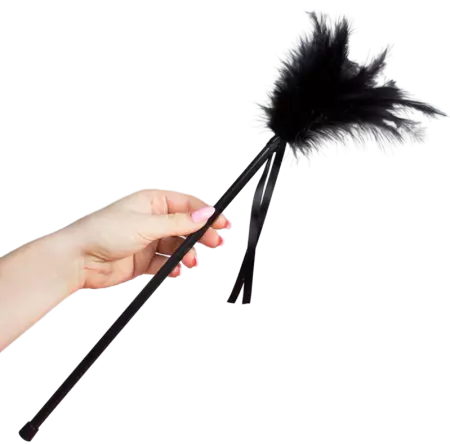 SECRETPLAY - PLUMES NOIRES 40 CM