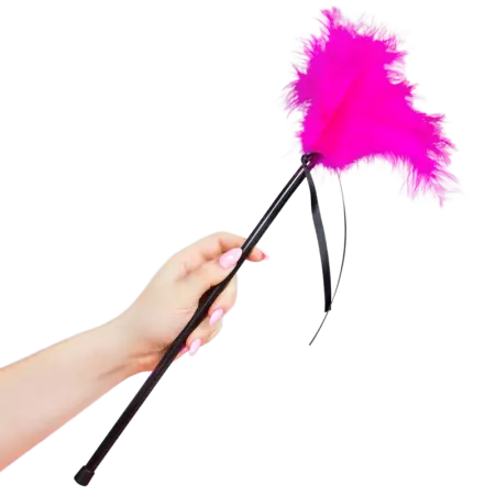 SECRETPLAY - PLUMES ROSE 40 CM
