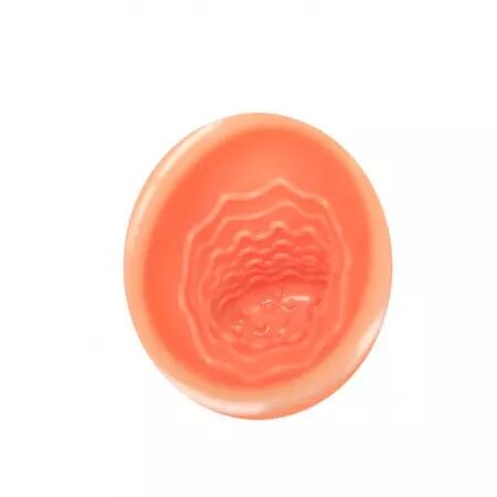 BAILE - AMANT DU SEXE ORAL 30V AVEC ADAPTATEUR