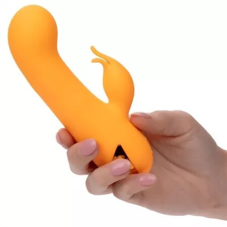 CALEXOTICS - MONTECITO MUSE VIBRATEUR LAPIN ORANGE PAR CALIFORNIA DREAMING