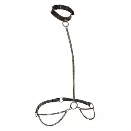 CALEXOTICS - EUPHORIA COLLIER LICOL ET LAISSE GRANDE TAILLE