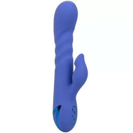 CALEXOTICS - VIBRATEUR & SUCKER LA LOVE BLEU PAR CALIFORNIA DREAMING