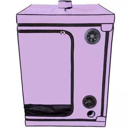 SECRET DOME - KINK CLUB CABINE SCANDALE PURPLE