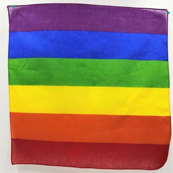 FIERT� - �CHARPE EN COTON DRAPEAU ARC-EN-CIEL