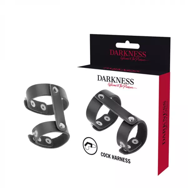 DARKNESS - ANNEAU DE P�NIS ET TESTICULES R�GLABLE EN CUIR