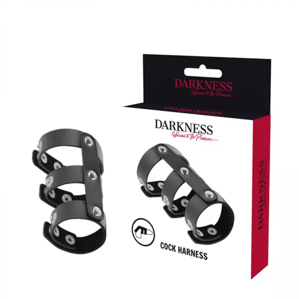 DARKNESS - DOUBLE ANNEAU DE P�NIS ET TESTICULES EN CUIR R�GLABLE