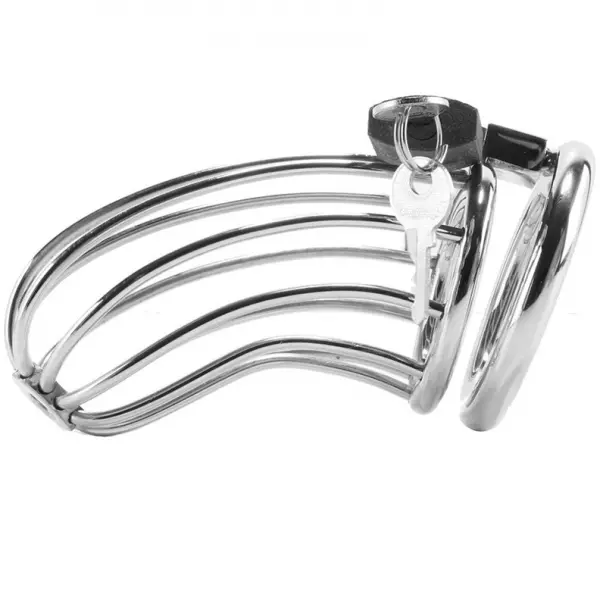 METAL HARD - CAGE DANNEAU DE CHASTET� DOISEAU
