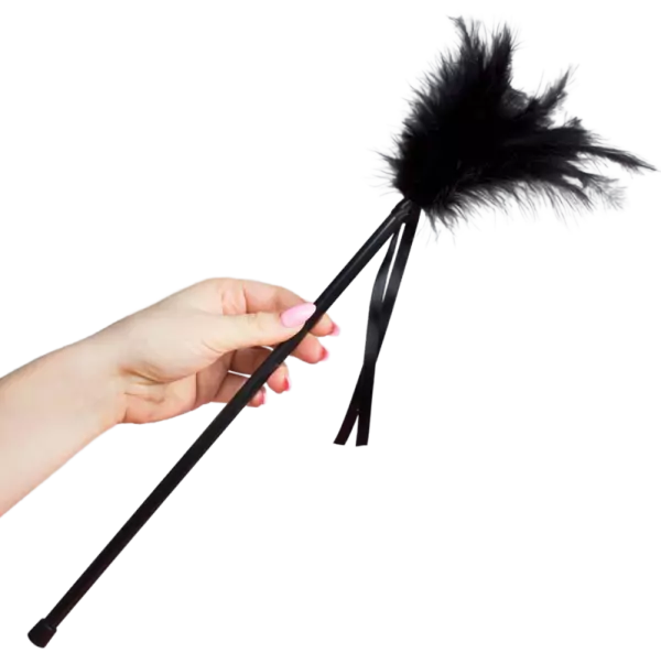 SECRETPLAY - PLUMES NOIRES 40 CM
