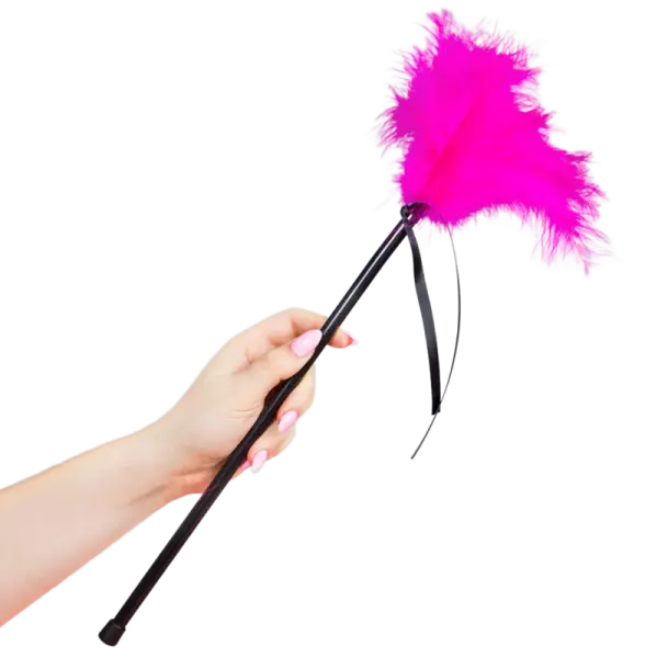 SECRETPLAY - PLUMES ROSE 40 CM