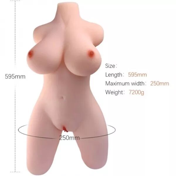 ARMONY - MOD�LE R�ALISTE DE TORSE F�MININ 2