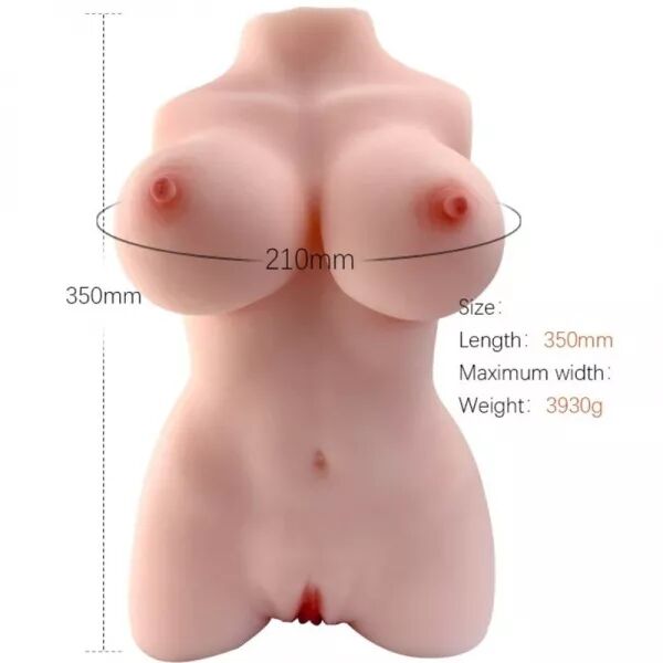 ARMONY - MOD�LE R�ALISTE DE TORSE F�MININ 3