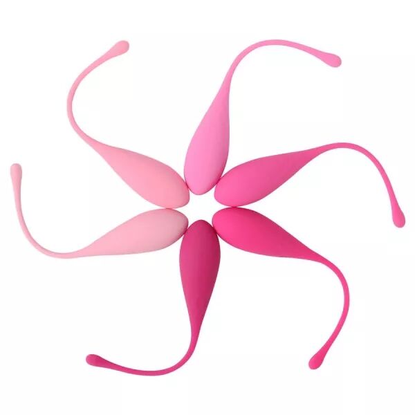 LESLIE - KEGEL FIT ENSEMBLE D'ENTRA�NEMENT MUSCULAIRE PELVIEN 6 PCS